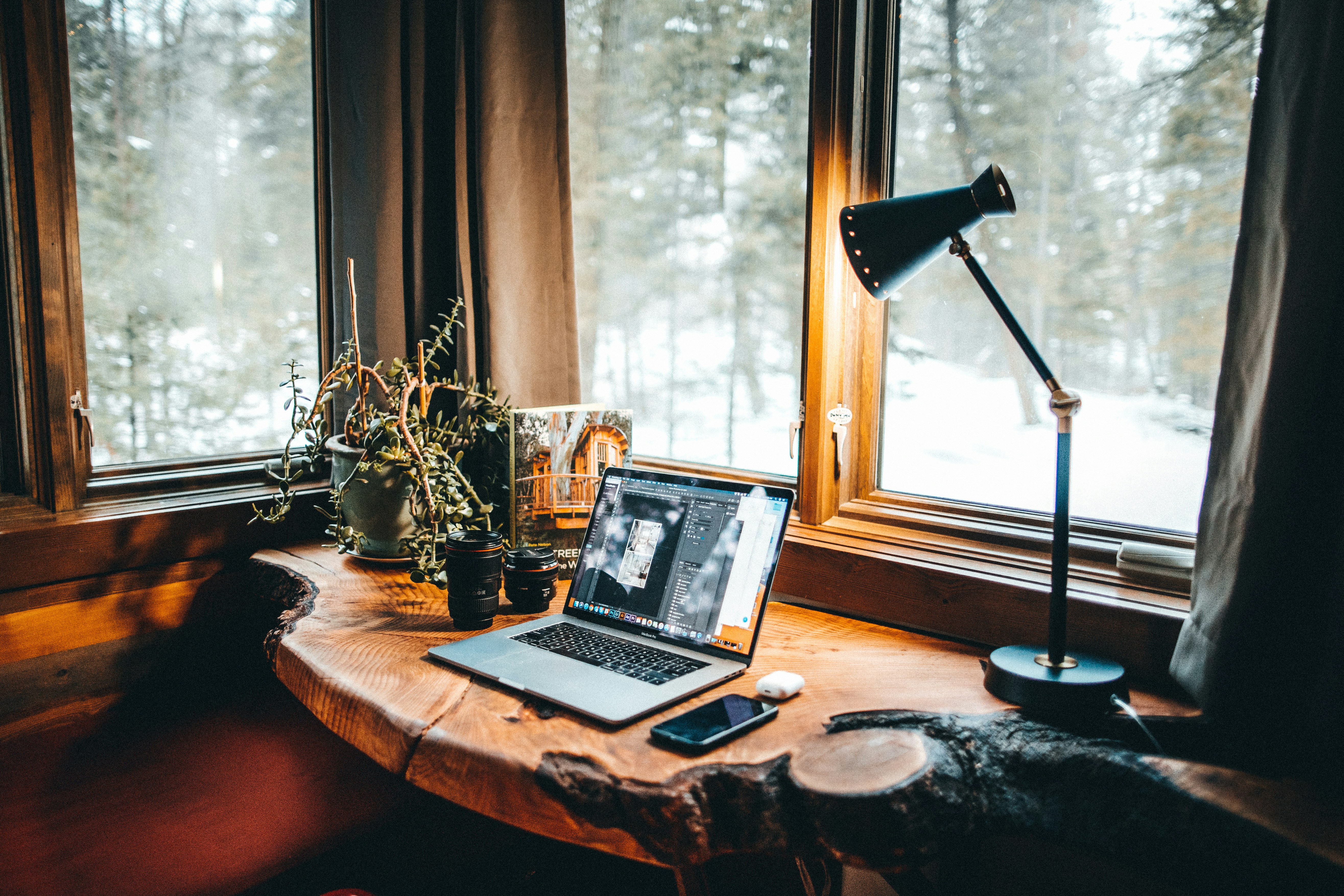 tree trunk floating desk